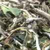 Pai Mu Tan : another excellent white tea